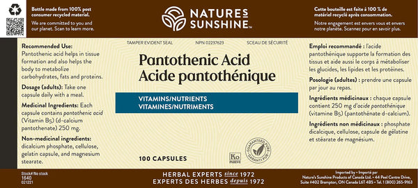 Pantothenic Acid (100 capsules)