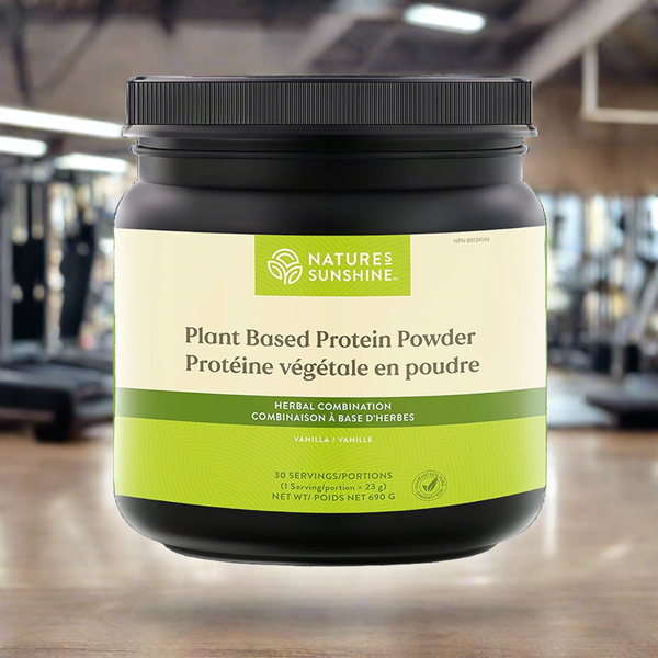 Plant Based Protein Powder