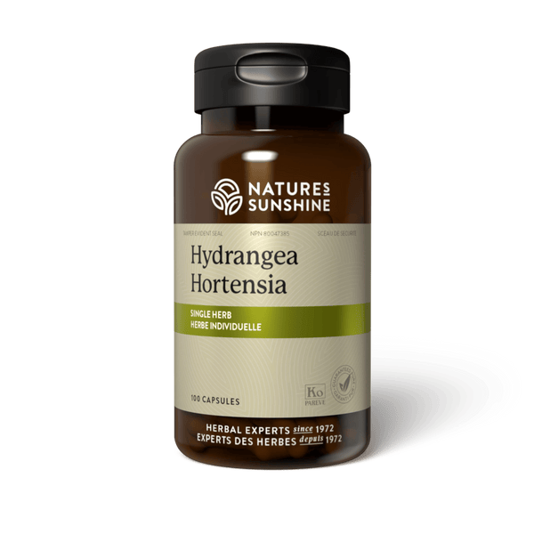Hydrangea (100 caps)
