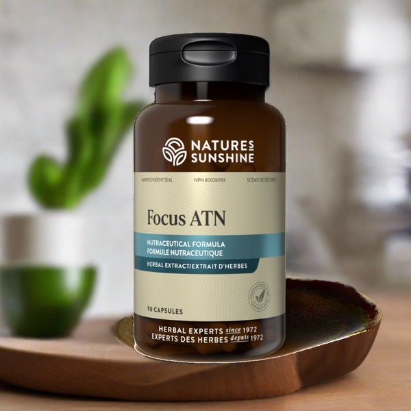 Focus ATN (90 capsules)