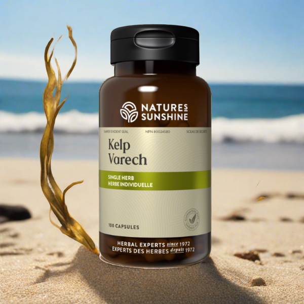 Kelp (100 capsules)