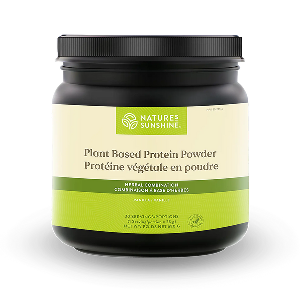 Plant Based Protein Powder