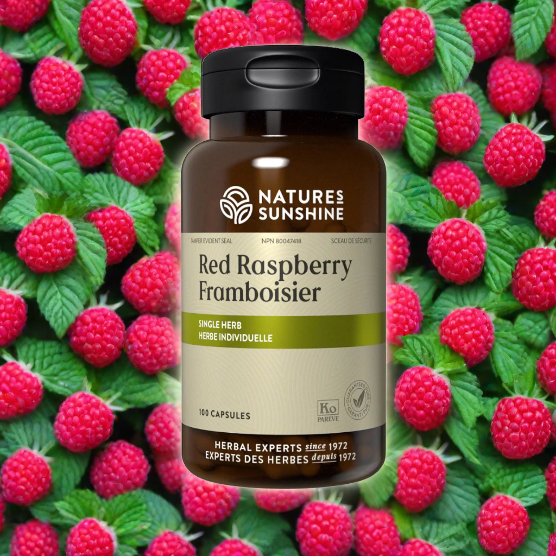 Sunshine Tropical Raspberry Red Raspberry (100 capsules), Nature's Sunshine - My Sunshine Canada