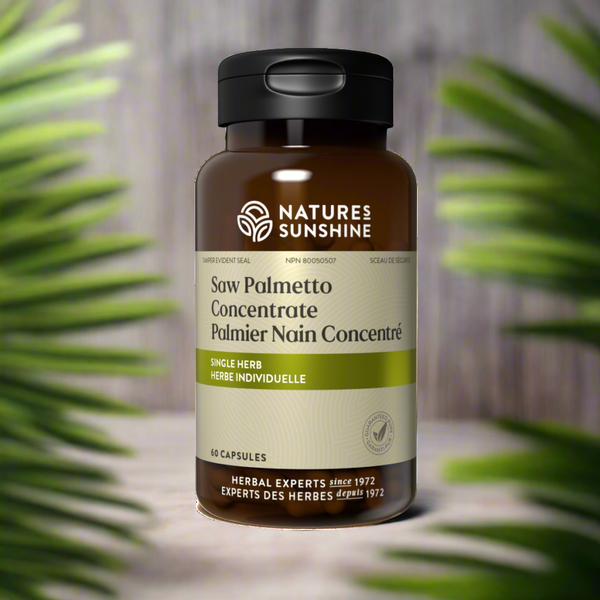 Saw Palmetto Concentrate (60 soft gel capsules)