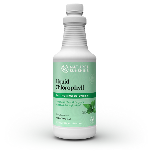 Chlorophyll Liquid, Paraben-free (473 ml)