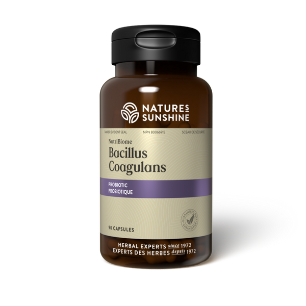 Bacillus Coagulans NutriBiome (90 caps)