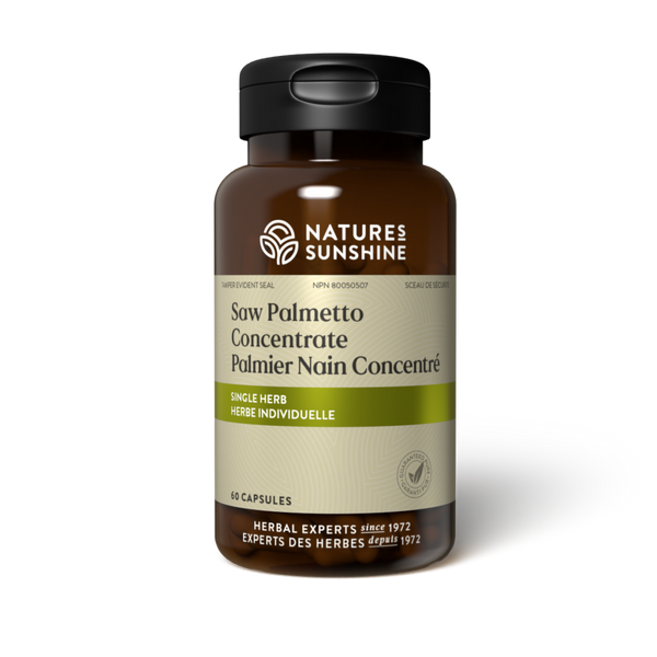 Saw Palmetto Concentrate (60 soft gel capsules)